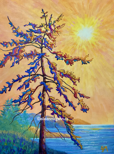 Wile Pacific Sunshine 12x16